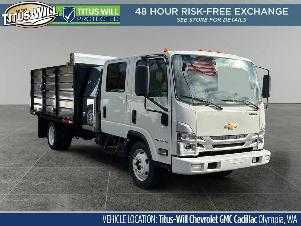 2025 Chevrolet Low Cab Forward 4500 MEDIUM ASH GRAY